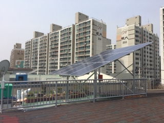 전남 순천 박**